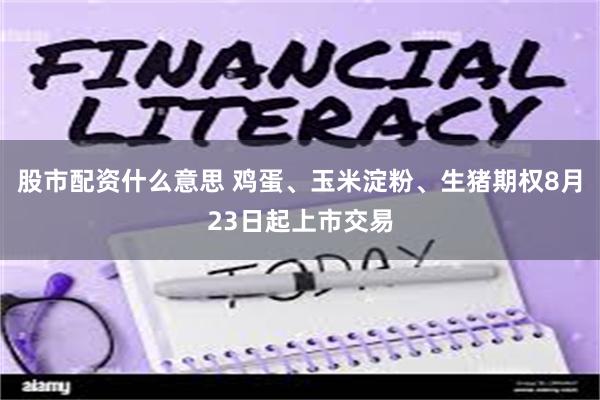 股市配资什么意思 鸡蛋、玉米淀粉、生猪期权8月23日起上市交易