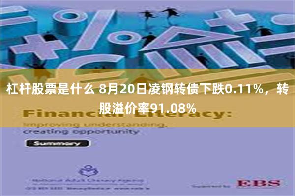 杠杆股票是什么 8月20日凌钢转债下跌0.11%，转股溢价率91.08%