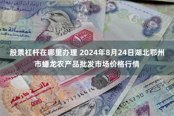 股票杠杆在哪里办理 2024年8月24日湖北鄂州市蟠龙农产品批发市场价格行情