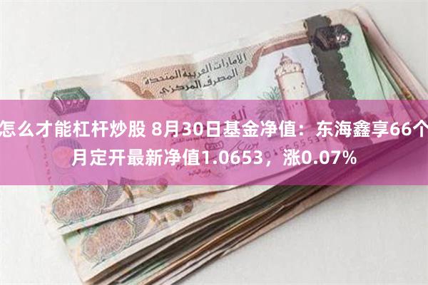 怎么才能杠杆炒股 8月30日基金净值：东海鑫享66个月定开最新净值1.0653，涨0.07%