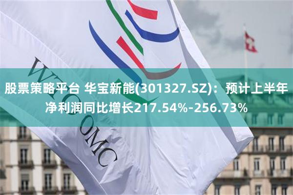 股票策略平台 华宝新能(301327.SZ)：预计上半年净利润同比增长217.54%-256.73%