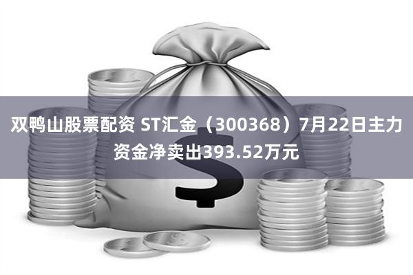 双鸭山股票配资 ST汇金（300368）7月22日主力资金净卖出393.52万元