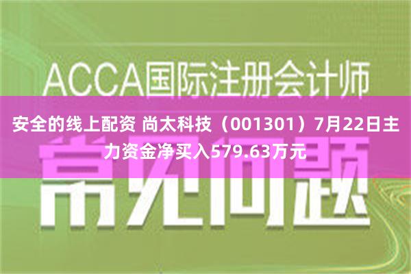 安全的线上配资 尚太科技（001301）7月22日主力资金净买入579.63万元