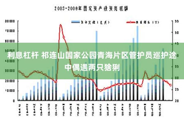 利息杠杆 祁连山国家公园青海片区管护员巡护途中偶遇两只猞猁