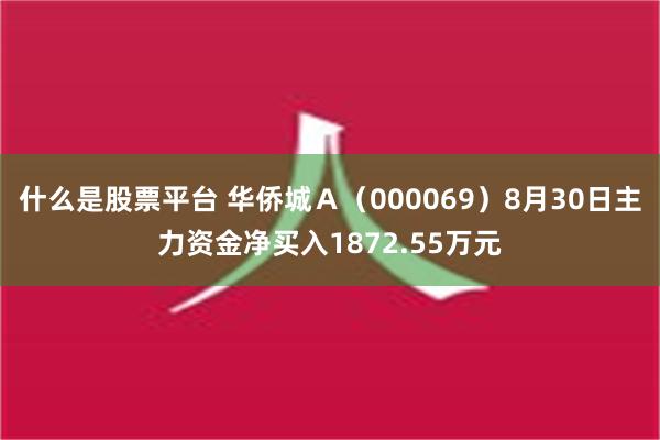 什么是股票平台 华侨城Ａ（000069）8月30日主力资金净买入1872.55万元