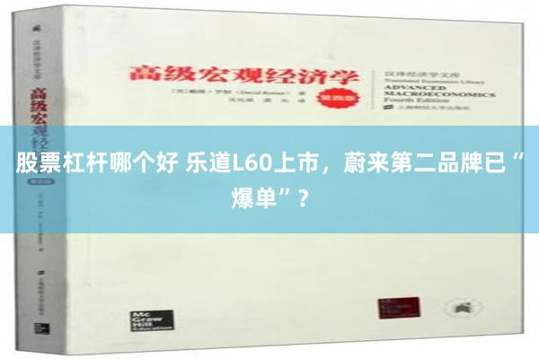 股票杠杆哪个好 乐道L60上市，蔚来第二品牌已“爆单”？