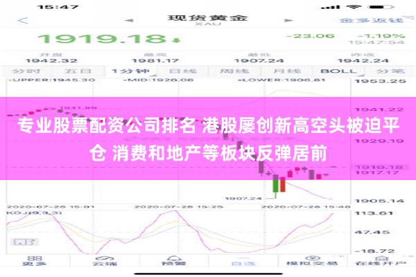 专业股票配资公司排名 港股屡创新高空头被迫平仓 消费和地产等板块反弹居前