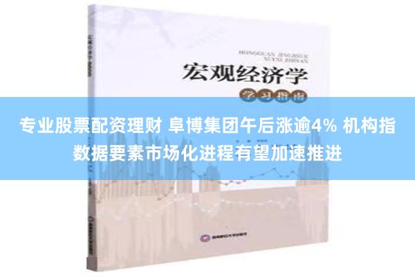 专业股票配资理财 阜博集团午后涨逾4% 机构指数据要素市场化进程有望加速推进