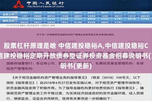 股票杠杆原理是啥 中信建投稳裕A,中信建投稳裕C: 中信建投稳裕定期开放债券型证券投资基金招募说明书(更新)