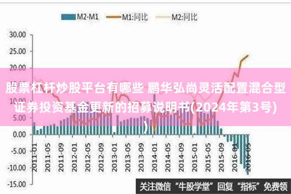 股票杠杆炒股平台有哪些 鹏华弘尚灵活配置混合型证券投资基金更新的招募说明书(2024年第3号)