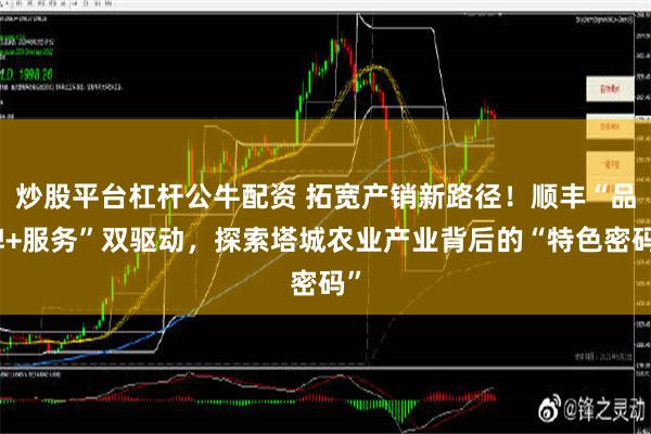 炒股平台杠杆公牛配资 拓宽产销新路径！顺丰“品牌+服务”双驱动，探索塔城农业产业背后的“特色密码”